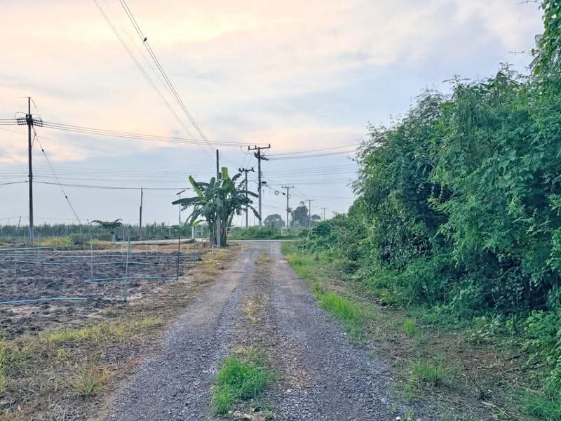 บ้านเดี่ยวพร้อมที่ดินกำแพงแสน นครปฐม, Nakhon Pathom, Huai Khwang, Kamphaeng Saen, Nakhon Pathom, 3 Bedrooms, 150 sqm, Single Detached House For Sale, by The Best Property ส้ม, 500647403 - DDproperty.com