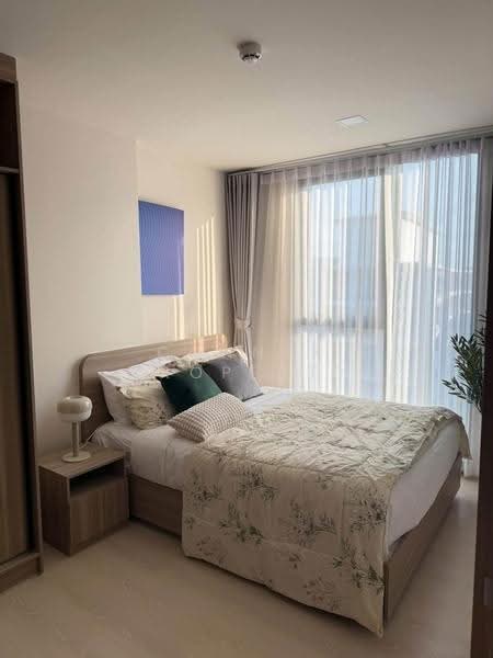 The Base Rise, Phuket, Wichit, Muang Phuket, Phuket, 1 Bedroom, 30 sqm, Condo For Rent, by Connex Property, 500647523 - DDproperty.com