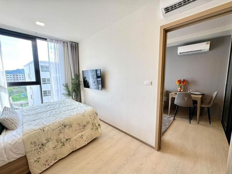 The Base Rise, ภูเก็ต, วิชิต, เมืองภูเก็ต, ภูเก็ต, 30 ตร.ม., คอนโด ให้เช่า, โดย Connex Property, 500647523 - DDproperty.com