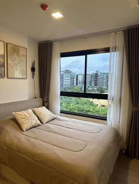 The Base Bukit Phuket, Phuket, 12 Vichitsongkram Rd, Wichit, Muang Phuket, Phuket, 1 Bedroom, 26 sqm, Condo For Rent, by Connex Property, 500647575 - DDproperty.com
