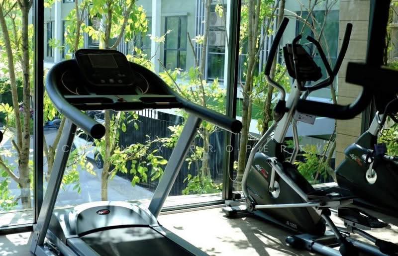 The Space Condominium, Phuket, 168 Soi Na Suaa, Wichit, Muang Phuket, Phuket, 1 Bedroom, 33 sqm, Condo For Rent, by Connex Property, 500647716 - DDproperty.com