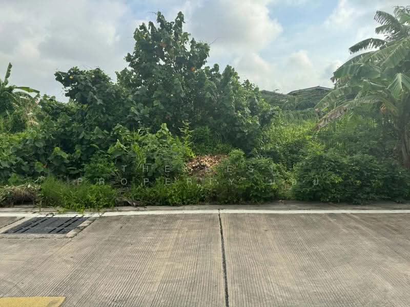 ที่ดินพระสมุทรเจดีย์ สมุทรปราการ, Samut Prakan, Nai Khlong Bang Pla Kot, Phra Samut Jadee, Samut Prakan, , 852 sqm, Land For Sale, by The Best Property น้อย, 500647755 - DDproperty.com