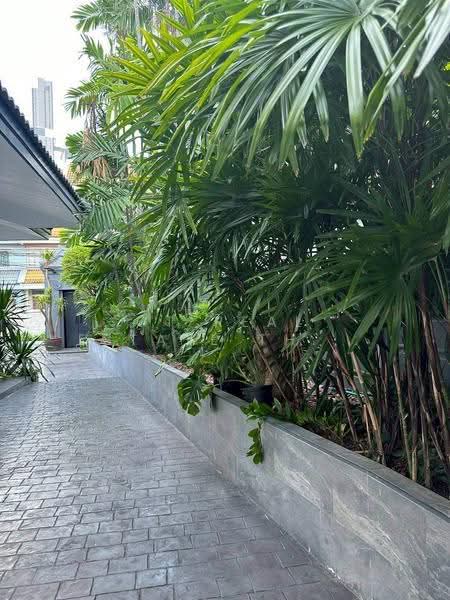 THONGLOR EXECUTIVE HOUSE, กรุงเทพ, คลองตันเหนือ, วัฒนา, กรุงเทพ, 700 ตร.ม., บ้านเดี่ยว ให้เช่า, โดย GT Real Estate Thailand, 500647793 - DDproperty.com