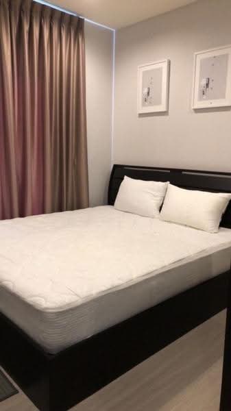 Life Sukhumvit 62, Bangkok, Soi Sukhumvit 62, Bang Chak, Phra Khanong, Bangkok, 1 Bedroom, 30 sqm, Condo For Rent, by Connex Property, 500647925 - DDproperty.com
