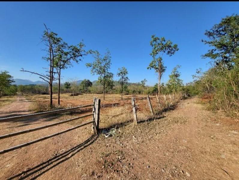 ที่ดิน, ลำปาง, นาแก้ว, เกาะคา, ลำปาง, 94,596 ตร.ม., ที่ดิน ขาย, โดย ID line jongtumsaroch, 500648107 - DDproperty.com