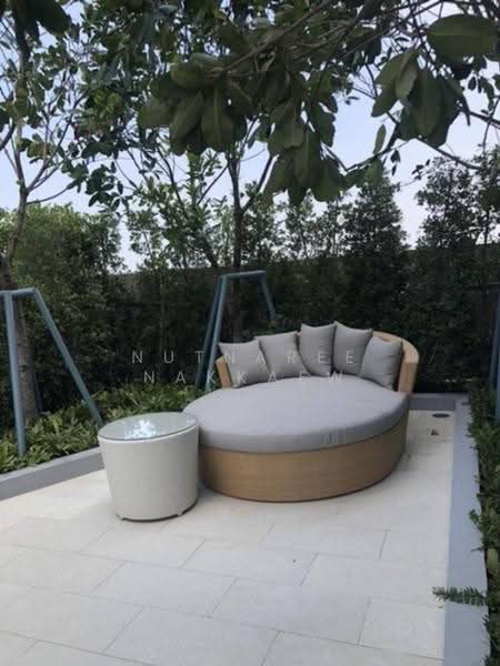 Life Sukhumvit 62, Bangkok, Soi Sukhumvit 62, Bang Chak, Phra Khanong, Bangkok, 1 Bedroom, 30 sqm, Condo For Rent, by Nutnaree Nakkaew, 500648139 - DDproperty.com