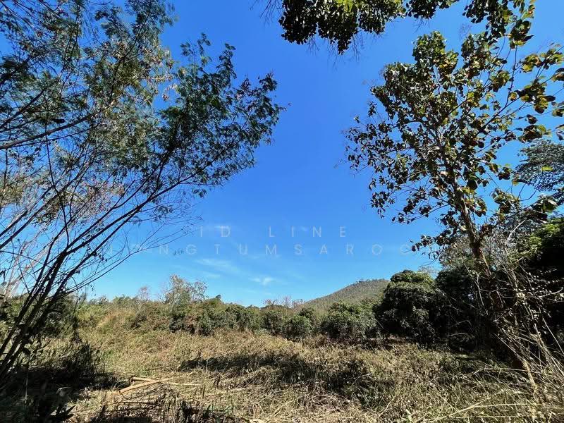 Land for sale in Chiang Khan near Walking Street. near tourist attract, Loei, Chiang Khan, Loei, , 8,000 sqm, Land For Sale, by ID line jongtumsaroch, 500648153 - DDproperty.com