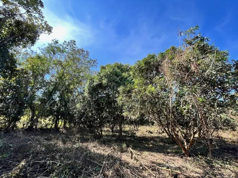 Land for sale in Chiang Khan near Walking Street. near tourist attract, Loei, Chiang Khan, Loei, , 8,000 sqm, Land For Sale, by ID line jongtumsaroch, 500648153 - DDproperty.com