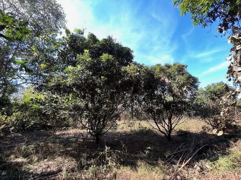 Land for sale in Chiang Khan near Walking Street. near tourist attract, Loei, Chiang Khan, Loei, , 8,000 sqm, Land For Sale, by ID line jongtumsaroch, 500648153 - DDproperty.com