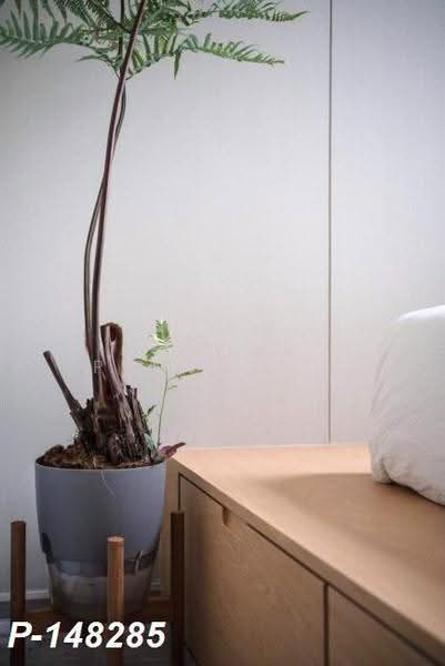 The Line Sukhumvit 101, Bangkok, 3009 Sukhumvit 101 Road, Bang Chak, Phra Khanong, Bangkok, 1 Bedroom, 27 sqm, Condo For Rent, by Susira Preuksawun, 500648156 - DDproperty.com
