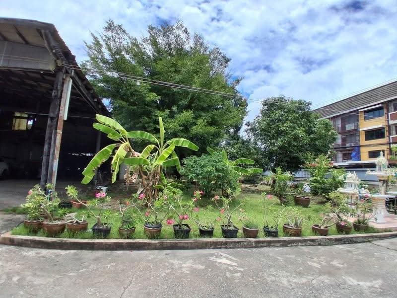 แบ่งเช่าพื้นที่ใกล้วงเวียนท้ายบ้าน ติดถนนหลัก (สายลวด-ด่านเก่า) ราคาเริ่มต้น 9,999 บาท/เดือน, สมุทรปราการ, ปากน้ำ, เมืองสมุทรปราการ, สมุทรปราการ, 1,136 ตร.ม., ที่ดิน ให้เช่า, โดย Sasialinda (Muay), 500648955 - DDproperty.com