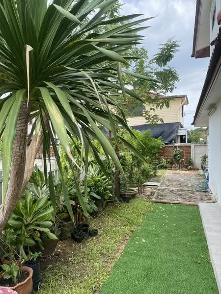 Ekwattana Phetkasem, Bangkok, เพชรเกษม ซอยหมู่บ้านเศรษฐกิจ 22, Lak Song, Bang Khae, Bangkok, 3 Bedrooms, 230 sqm, Single Detached House For Rent, by คุณวรพรรษสร ศศิโรจน์โสภณ, 500649314 - DDproperty.com