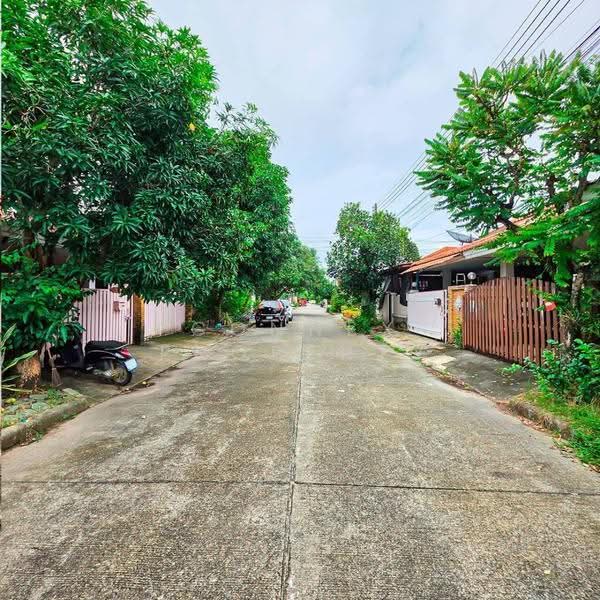 บ้านดุสิตบุรี - ภูเก็ต, ภูเก็ต, เฉลิมพระเกียรติ ร.9, รัษฎา, เมืองภูเก็ต, ภูเก็ต, 170 ตร.ม., ทาวน์เฮ้าส์ ขาย, โดย Connex Property, 500649439 - DDproperty.com