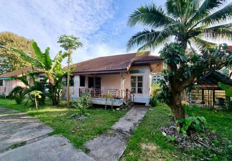 บ้าน 5-ห้องนอน, ภูเก็ต, ฉลอง, เมืองภูเก็ต, ภูเก็ต, 797 ตร.ม., บ้านเดี่ยว ขาย, โดย Keartisuk Sookkow, 500649836 - DDproperty.com