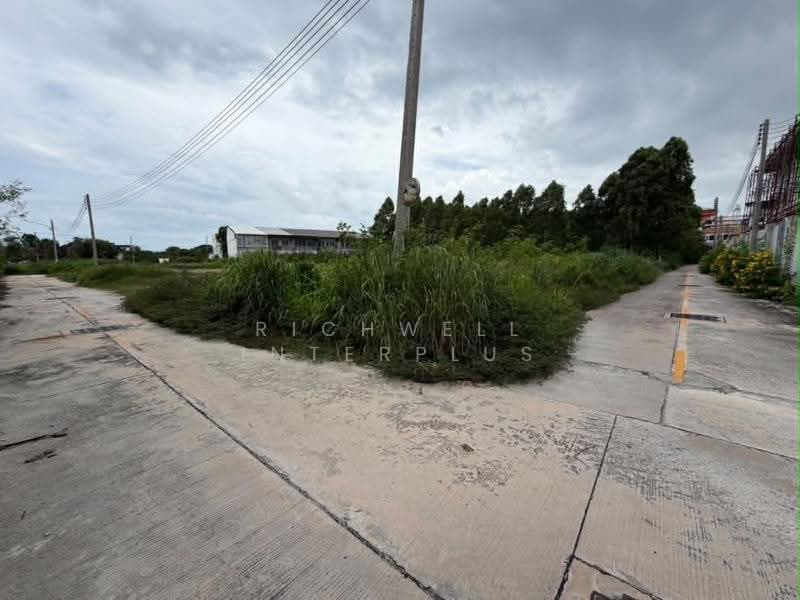 Land for sale in Ban Suan, 2 rai, with frontage on two roads; located in Soi Ban Suan-Phraya Satcha, Chon Buri (Pattaya), Ban Suan, Muang Chon Buri, Chon Buri (Pattaya), , 3,440 sqm, Land For Sale, by RICHWELL INTERPLUS, 500650691 - DDproperty.com