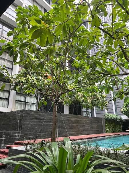 Mode Sukhumvit 61 : โหมด สุขุมวิท 61, กรุงเทพ, ถนนสุขุมวิท 61, คลองตันเหนือ, วัฒนา, กรุงเทพ, 55 ตร.ม., คอนโด ให้เช่า, โดย Tanakrit Chotbuddkayan, 500650694 - DDproperty.com