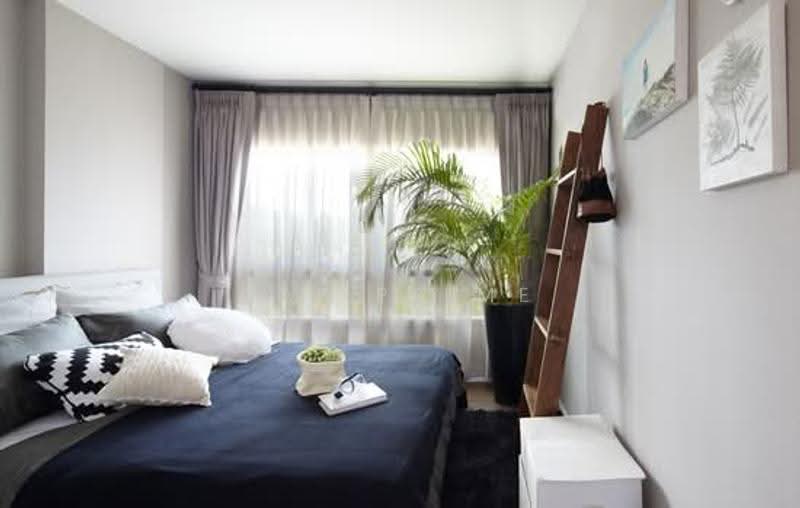 Dcondo Creek Phuket : ดีคอนโด ครีก ภูเก็ต, ภูเก็ต, 81 ม.2, กะทู้, ภูเก็ต, 100 ตร.ม., คอนโด ให้เช่า, โดย fai prime, 500650800 - DDproperty.com