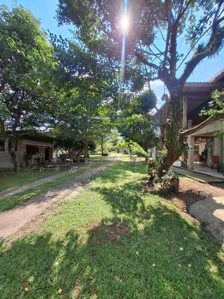 ที่ดินพร้อมกิจการขุนตาล เชียงราย, เชียงราย, ยางฮอม, ขุนตาล, เชียงราย, 3,632 ตร.ม., ที่ดิน ขาย, โดย The Best Property ไนล์, 500650833 - DDproperty.com