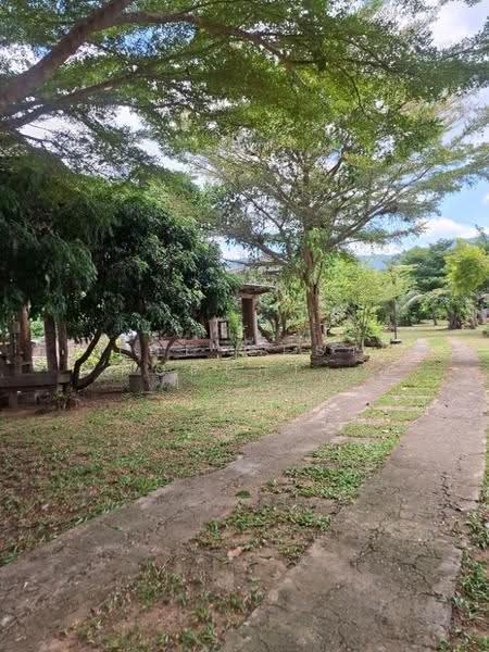 ที่ดินพร้อมกิจการขุนตาล เชียงราย, เชียงราย, ยางฮอม, ขุนตาล, เชียงราย, 3,632 ตร.ม., ที่ดิน ขาย, โดย The Best Property ไนล์, 500650833 - DDproperty.com