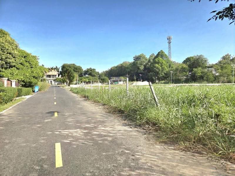 แบ่งขายที่ดินบางเสร่ 100 ตรว. 4ล็อค ติดถนนลาดยางใกล้ถนนสุขุมวิท3-1.5กม. อ.สัตหีบ, ชลบุรี, บางเสร่, สัตหีบ, ชลบุรี, 400 ตร.ม., ที่ดิน ขาย, โดย RICHWELL INTERPLUS, 500650846 - DDproperty.com