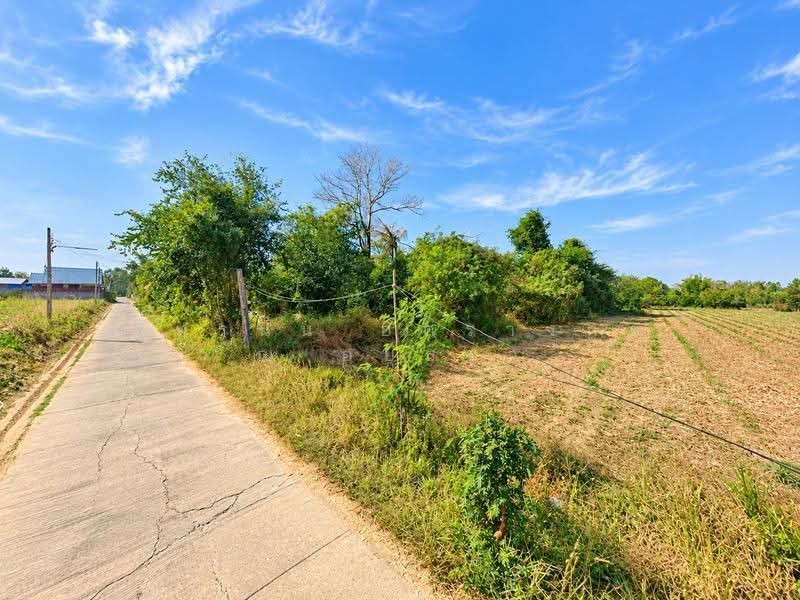 ที่ดินเปล่าติดถนน ตำบลห้วยแถลง อำเภอห้วยแถลง จังหวัดนครราชสีมา, Nakhon Ratchasima, Huai Thalang, Nakhon Ratchasima, , 7,392 sqm, Land For Sale, by ภัทรนัน อิศรางกูร ณ อยุธยา, 500650896 - DDproperty.com