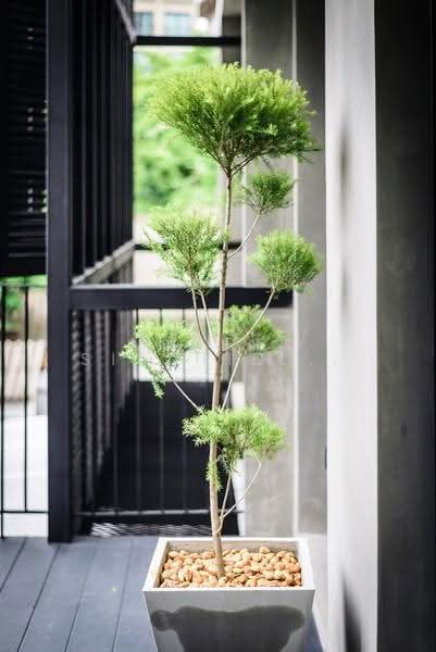 Private Residence in Sukhumvit 28, Bangkok, Khong Tan, Khlong Toei, Bangkok, 3 Bedrooms, 250 sqm, Single Detached House For Rent, by Amarin Sitthidhoon, 500650910 - DDproperty.com