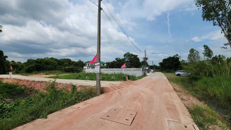 land for sell, Phitsanulok, Aranyik, Muang Phitsanulok, Phitsanulok, , 248 sqm, Land For Sale, by คุณฝ้าย, 500650939 - DDproperty.com