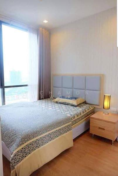 Q House Sukhumvit 79, Bangkok, 2059 Sukhumvit Road, Phra Kanong Nua, Watthana, Bangkok, 1 Bedroom, 27 sqm, Condo For Rent, by Pichamon Chawbantard, 500651969 - DDproperty.com
