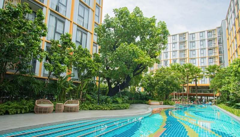 The Base Rise, Phuket, Wichit, Muang Phuket, Phuket, 1 Bedroom, 35 sqm, Condo For Rent, by Netsanthiah Ai, 500651987 - DDproperty.com