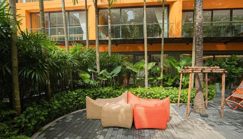 The Base Rise, Phuket, Wichit, Muang Phuket, Phuket, 1 Bedroom, 35 sqm, Condo For Rent, by Netsanthiah Ai, 500651987 - DDproperty.com