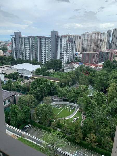 Whizdom Connect Sukhumvit, Bangkok, 1 Soi Piyibut 1, Sukhumvit Road, Bang Na, Bangkok, 1 Bedroom, 26 sqm, Condo For Rent, by Rinrada Permpool, 500653021 - DDproperty.com