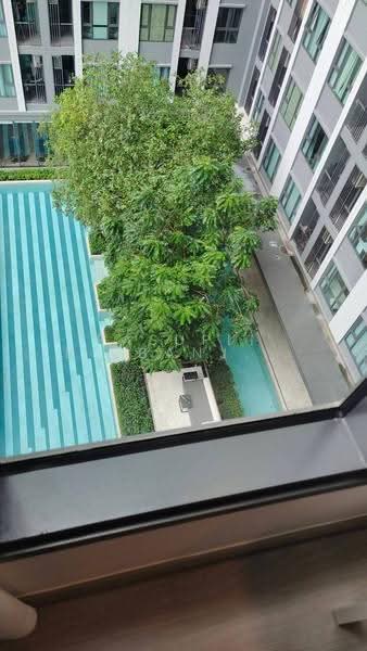 Aspire Sukhumvit-Rama 4, Bangkok, 4404 Rama 4 Road, Phra Kanong, Khlong Toei, Bangkok, 1 Bedroom, 27 sqm, Condo For Rent, by Pasupit Ditbanjong, 500653034 - DDproperty.com