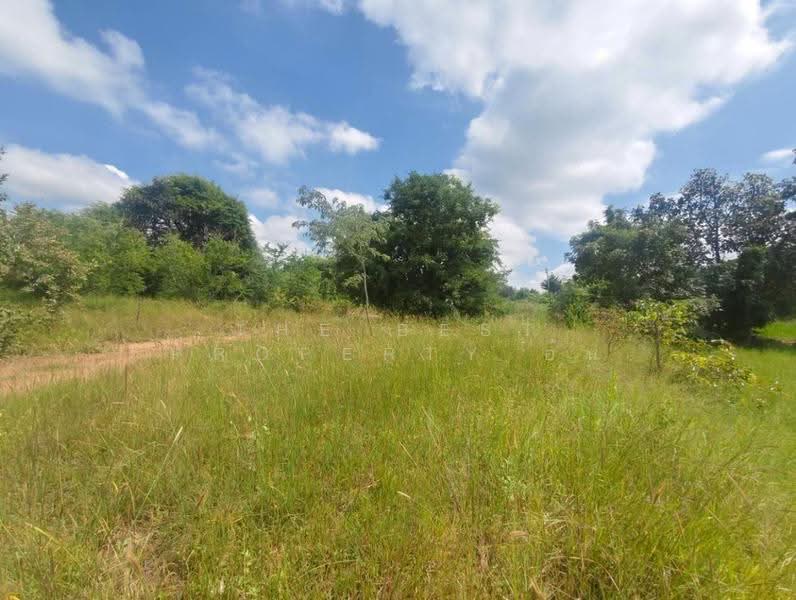 ที่ดินโนนไทย นครราชสีมา, Nakhon Ratchasima, Dan Chak, Non Thai, Nakhon Ratchasima, , 7,784 sqm, Land For Sale, by The Best Property อ้น, 500653136 - DDproperty.com