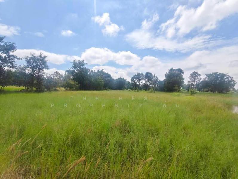 ที่ดินโนนไทย นครราชสีมา, Nakhon Ratchasima, Dan Chak, Non Thai, Nakhon Ratchasima, , 7,784 sqm, Land For Sale, by The Best Property อ้น, 500653136 - DDproperty.com
