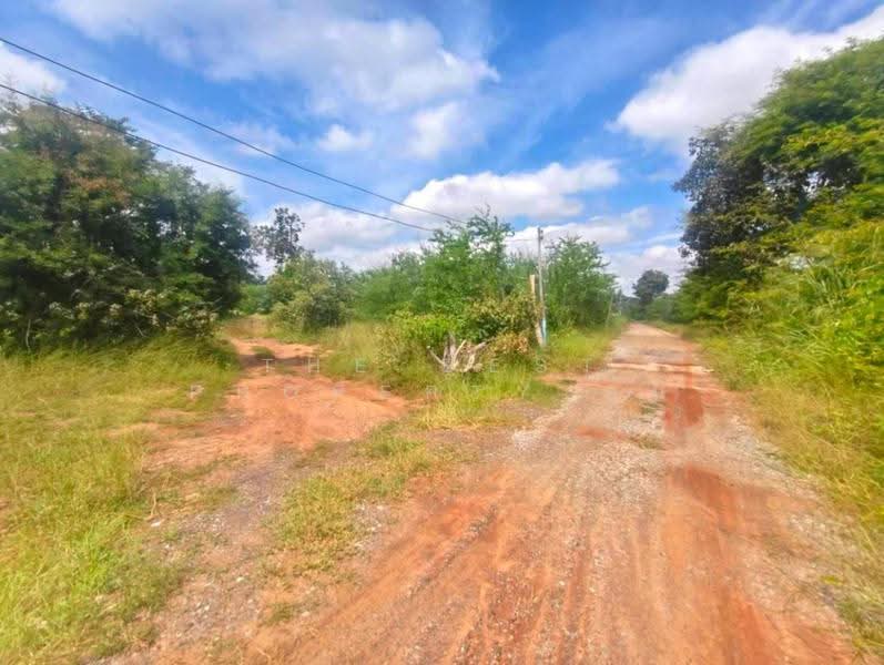ที่ดินโนนไทย นครราชสีมา, นครราชสีมา, ด่านจาก, โนนไทย, นครราชสีมา, 7,784 ตร.ม., ที่ดิน ขาย, โดย The Best Property อ้น, 500653136 - DDproperty.com