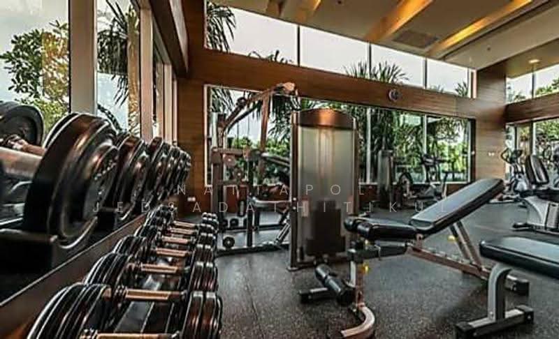 Thru Thonglor, Bangkok, Petchaburi Road, Bang Kapi, Huai Khwang, Bangkok, 1 Bedroom, 31 sqm, Condo For Rent, by Nattapol Jedsadathitikul, 500653444 - DDproperty.com
