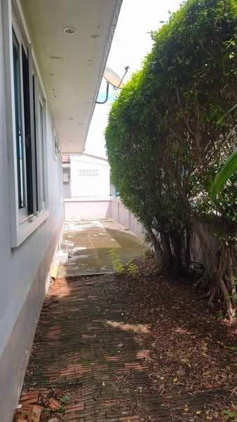 บ้าน 2-ห้องนอน, ประจวบคีรีขันธ์, ปากน้ำปราณ, ปราณบุรี, ประจวบคีรีขันธ์, 93 ตร.ม., บ้านเดี่ยว ขาย, โดย Sujika Puangngern, 500654097 - DDproperty.com