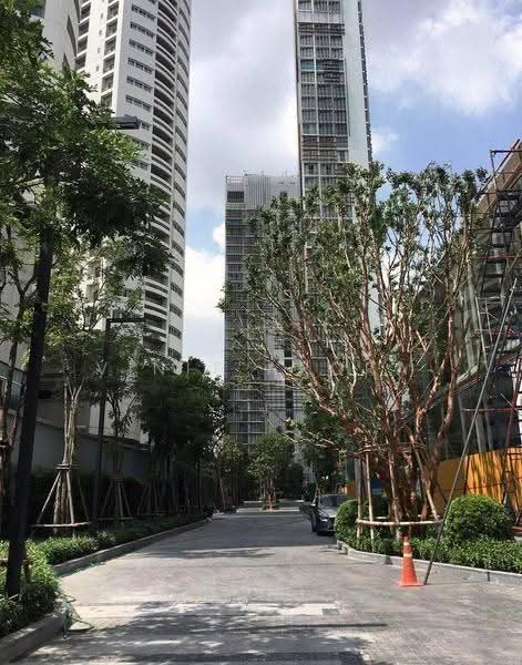 Park Origin Phrom Phong (Park 24), กรุงเทพ, 68 Soi Sukhumvit 24, คลองตัน, คลองเตย, กรุงเทพ, 54 ตร.ม., คอนโด ให้เช่า, โดย Vinit Arora, 500654110 - DDproperty.com