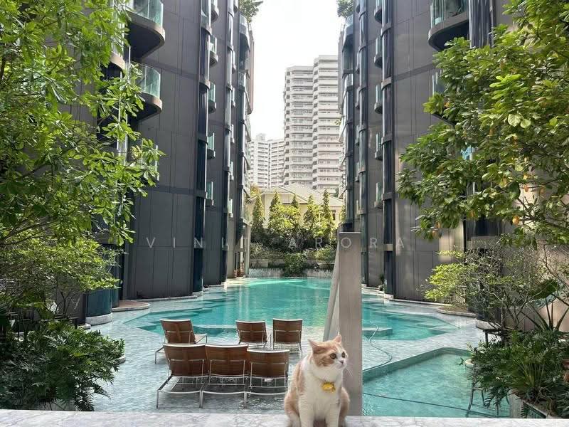 ASHTON Residence 41 : แอชตัน เรสซิเดนซ์ 41, กรุงเทพ, สุขุมวิท 41, คลองตันเหนือ, วัฒนา, กรุงเทพ, 77 ตร.ม., คอนโด ให้เช่า, โดย Vinit Arora, 500654155 - DDproperty.com