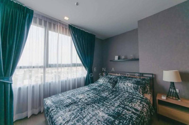 IDEO Sukhumvit 93, Bangkok, 2331 Soi Sukhumvit 93, Bang Chak, Phra Khanong, Bangkok, 1 Bedroom, 36 sqm, Condo For Rent, by Sarena Choengsamor, 500656427 - DDproperty.com
