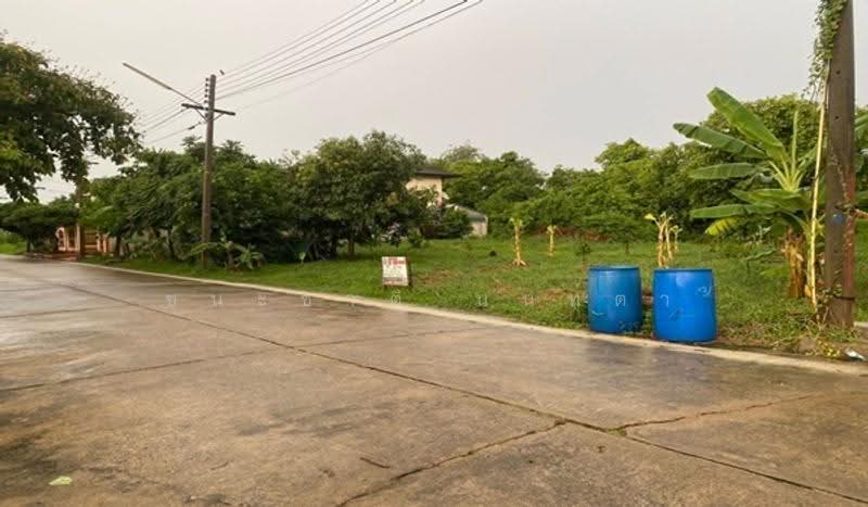 เมืองเอก ซอยเอกบูรพา 8 แยก 3, Pathum Thani, Lak Hok, Muang Pathum Thani, Pathum Thani, , 400 sqm, Land For Sale, by ชนะชาติ นนท์ตา, 500656658 - DDproperty.com