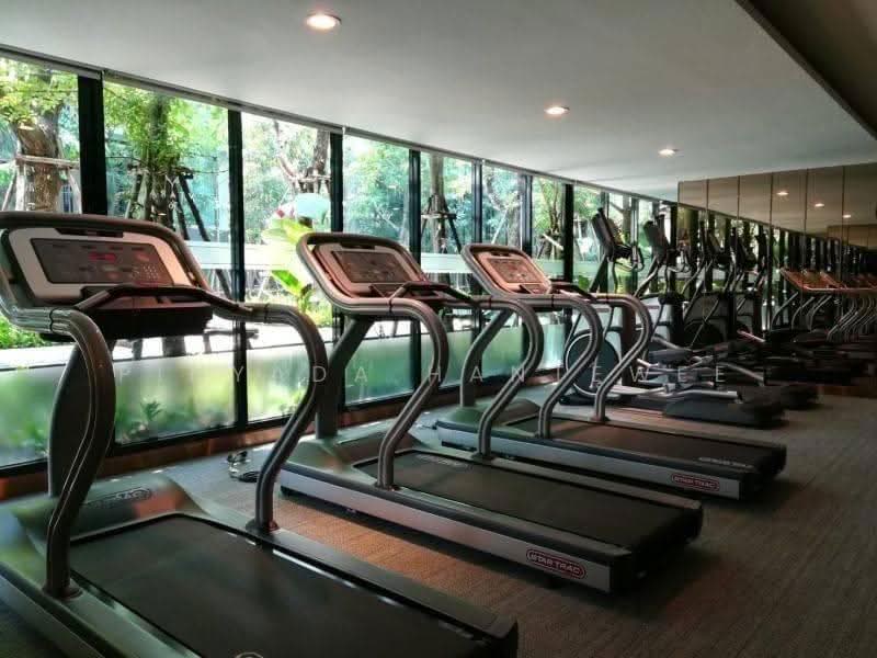 Vtara Sukhumvit 36, Bangkok, 118 Soi Saen Sabai, Phra Kanong, Khlong Toei, Bangkok, 1 Bedroom, 36 sqm, Condo For Rent, by Pinyada Hantewee, 500656811 - DDproperty.com