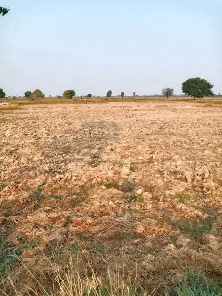 ที่ดินโนนสูง นครราชสีมา, Nakhon Ratchasima, Chan At, Non Sung, Nakhon Ratchasima, , 24,076 sqm, Land For Sale, by The Best Property อ้น, 500657092 - DDproperty.com