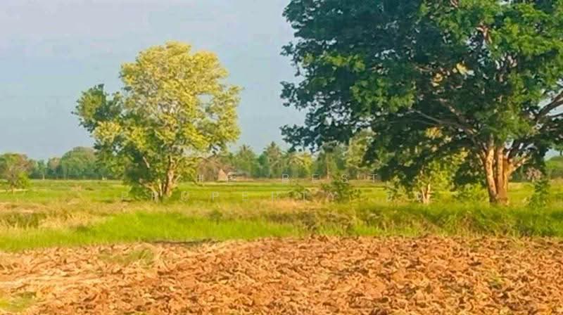 ที่ดินโนนสูง นครราชสีมา, Nakhon Ratchasima, Chan At, Non Sung, Nakhon Ratchasima, , 24,076 sqm, Land For Sale, by The Best Property อ้น, 500657092 - DDproperty.com
