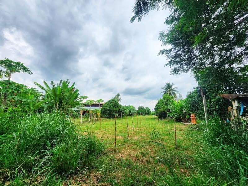 ที่ดินพร้อมสิ่งปลูกสร้างพนมทวน กาญจนบุรี, กาญจนบุรี, รางหวาย, พนมทวน, กาญจนบุรี, 1,288 ตร.ม., ที่ดิน ขาย, โดย The Best Property แอ้, 500657151 - DDproperty.com