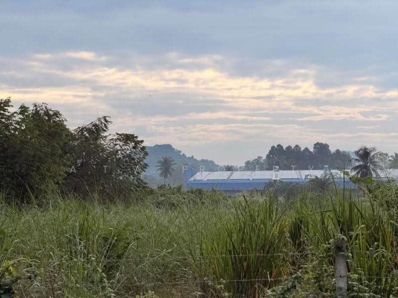 ที่ดิน หนองขาม เนินตอง ศรีราชา, Chon Buri (Pattaya), เนินตอง, Nong - Kham, Si Racha, Chon Buri (Pattaya), , 6,400 sqm, Land For Sale, by A.T.A. Property, 500657537 - DDproperty.com