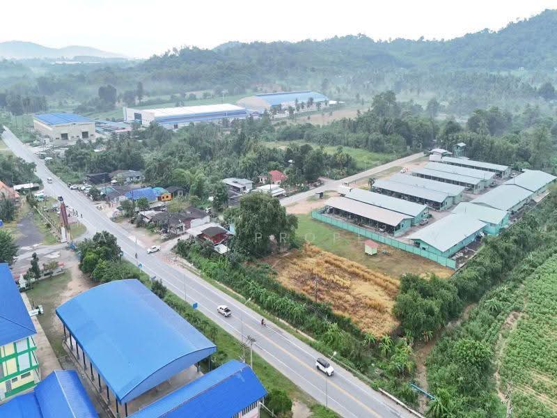 ที่ดิน หนองขาม เนินตอง ศรีราชา, ชลบุรี, เนินตอง, หนองขาม, ศรีราชา, ชลบุรี, 6,400 ตร.ม., ที่ดิน ขาย, โดย A.T.A. Property, 500657537 - DDproperty.com