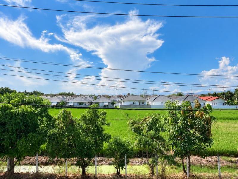 ให้เช่าบ้านเดี่ยว 2 ชั้น สไตล์โมเดิร์น วิวทุ่งนา หางดง (ID:648HR), เชียงใหม่, สันผักหวาน, หางดง, เชียงใหม่, 200 ตร.ม., บ้านเดี่ยว ให้เช่า, โดย อรกัญญา สายวังกิจ, 500657692 - DDproperty.com