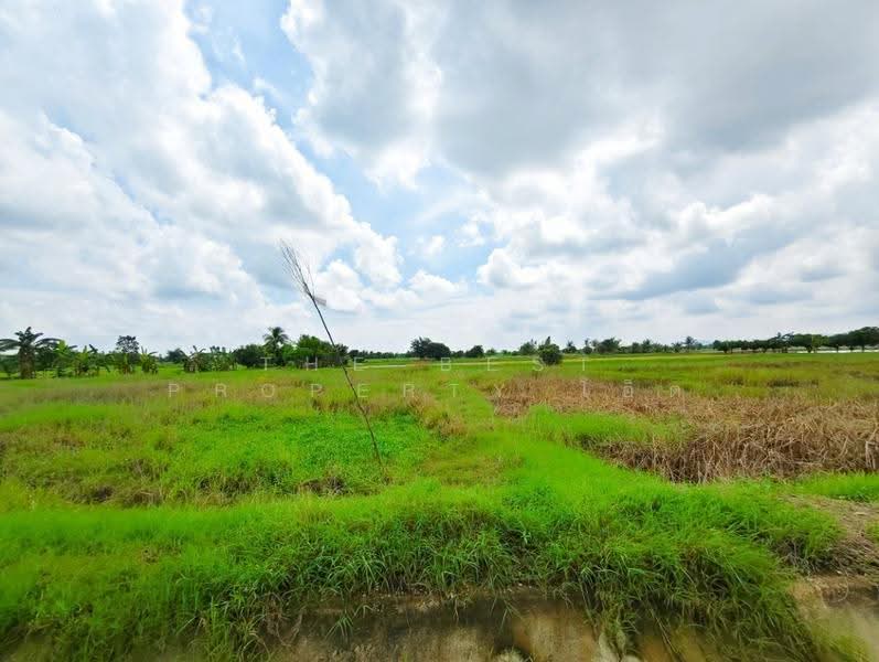 ที่ดินท่าม่วง กาญจนบุรี, กาญจนบุรี, รางสาลี่, ท่าม่วง, กาญจนบุรี, 9,962 ตร.ม., ที่ดิน ขาย, โดย The Best Property โอ็ต, 500658002 - DDproperty.com