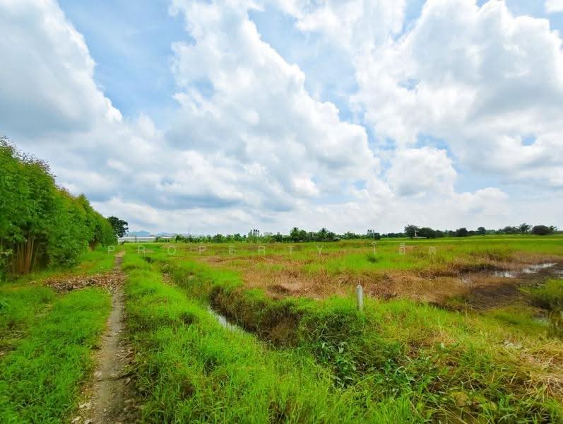 ที่ดินท่าม่วง กาญจนบุรี, กาญจนบุรี, รางสาลี่, ท่าม่วง, กาญจนบุรี, 9,962 ตร.ม., ที่ดิน ขาย, โดย The Best Property โอ็ต, 500658002 - DDproperty.com